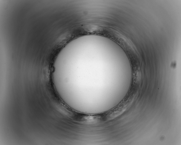 X0000102350558200808151753