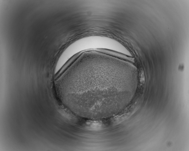 X0000102350559200808151753