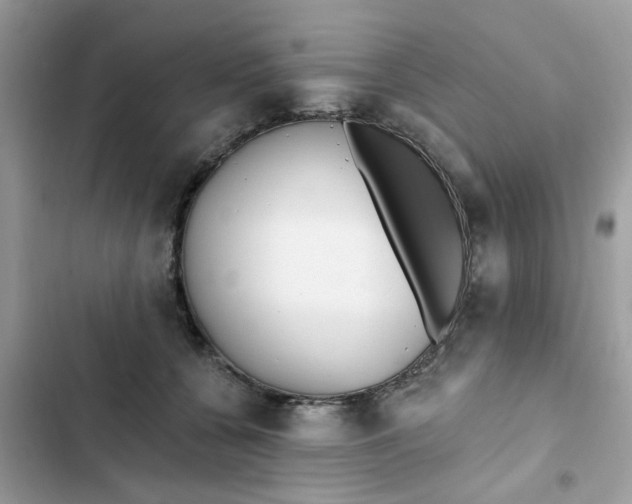 X0000102350560200808151753