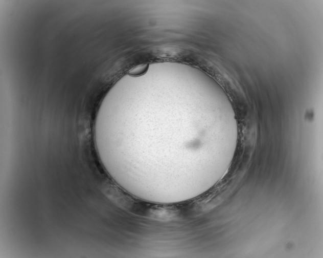 X0000102350561200808151753