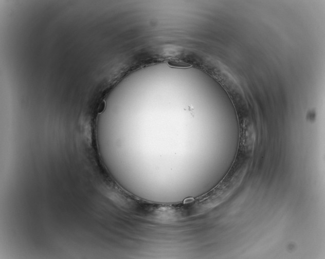 X0000102350562200808151753