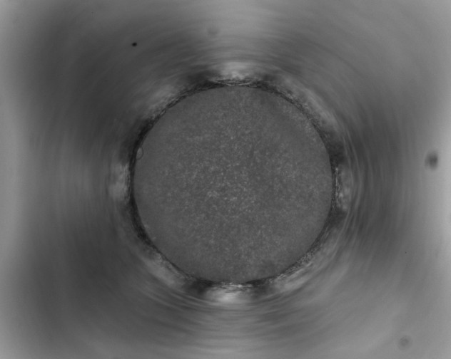 X0000102350563200808151753