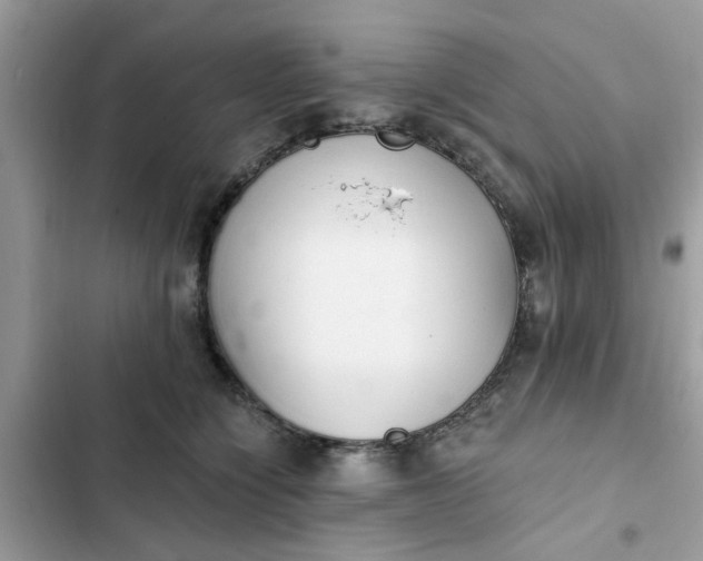 X0000102350564200808151753