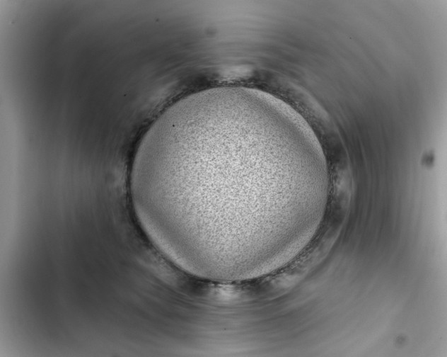 X0000102350565200808151753