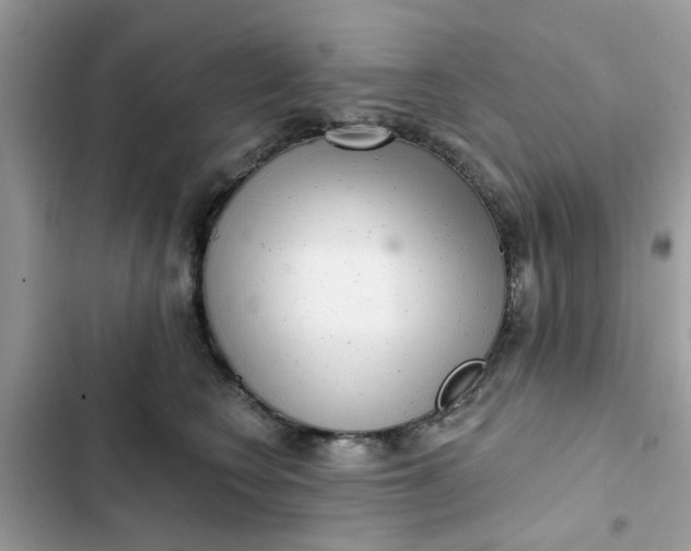 X0000102350566200808151753