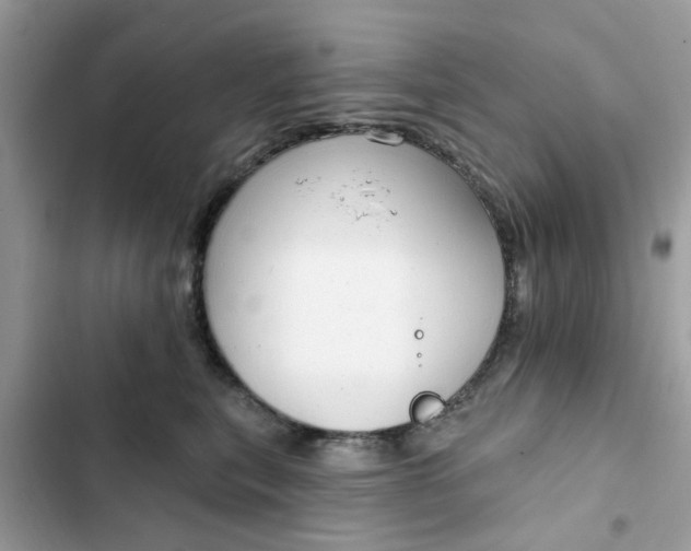 X0000102350567200808151753