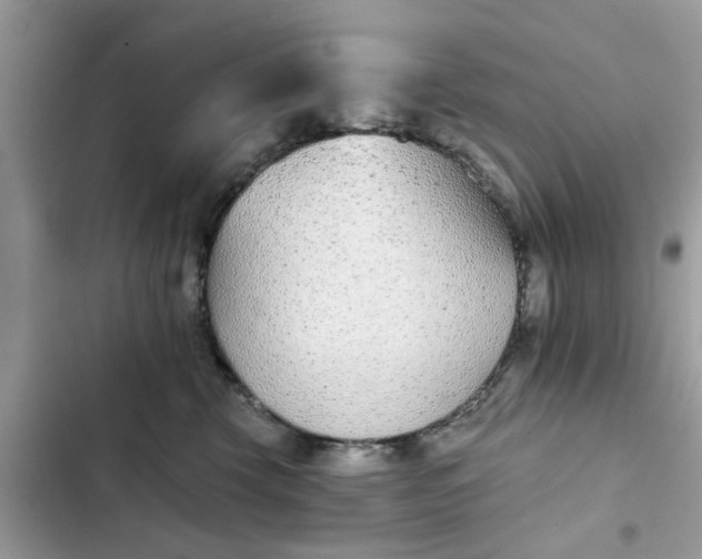 X0000102350569200808151753