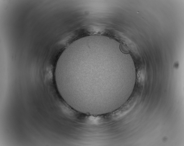 X0000102350570200808151753