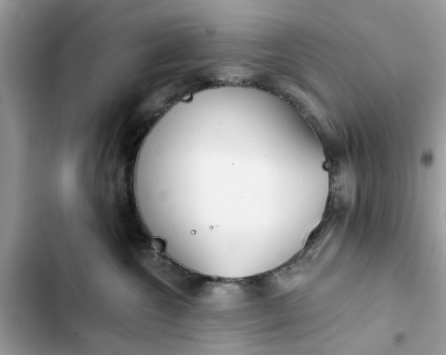 X0000102350572200808151753