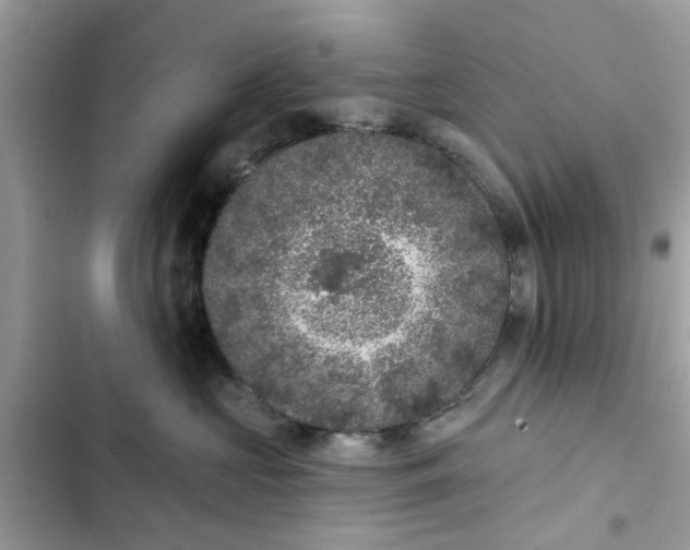 X0000102350573200808151753