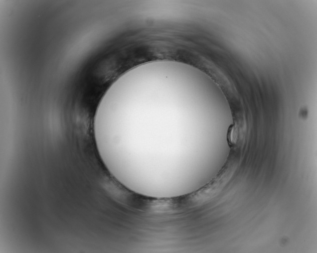 X0000102350574200808151753