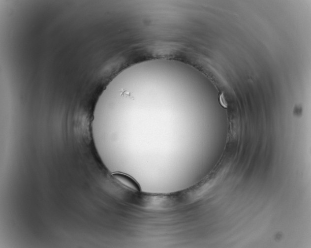 X0000102350575200808151753