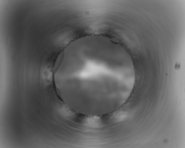 X0000102350576200808151753