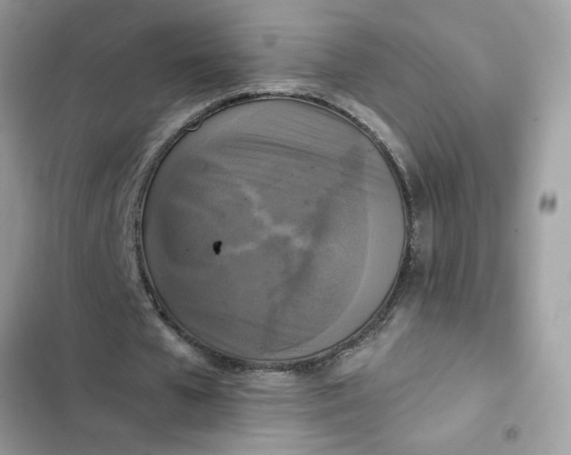 X0000102350577200808151752