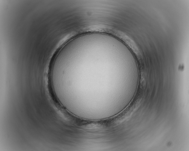 X0000102350578200808151752