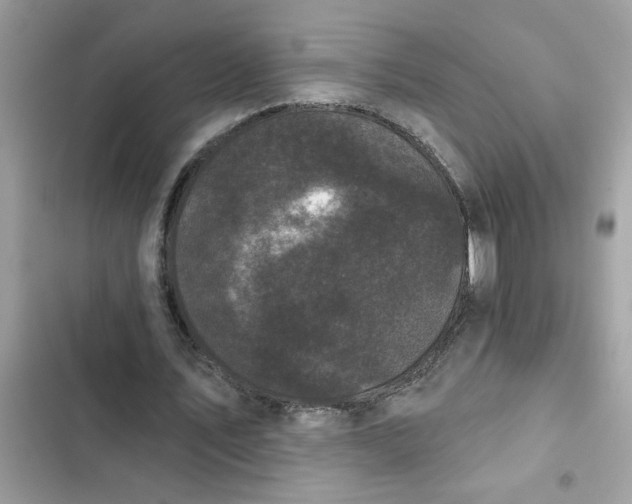 X0000102350579200808151752