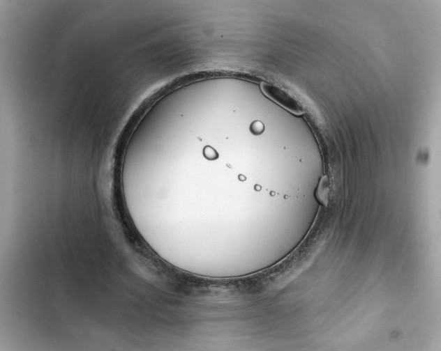 X0000102350580200808151752