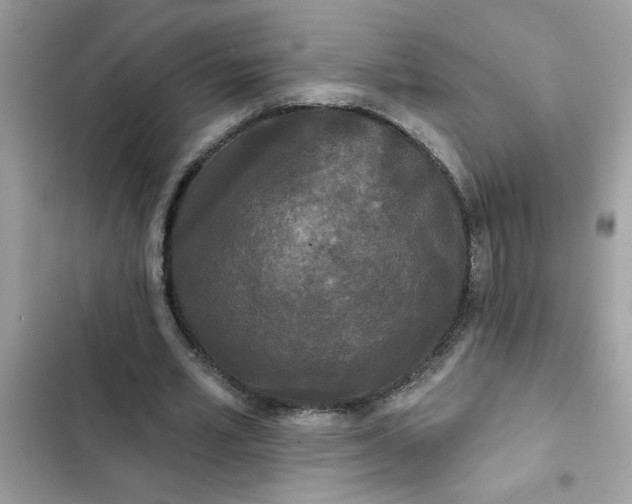 X0000102350581200808151752