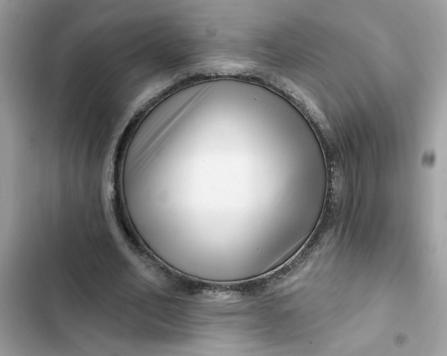 X0000102350582200808151752