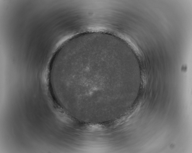 X0000102350583200808151752