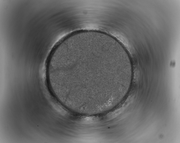 X0000102350584200808151752