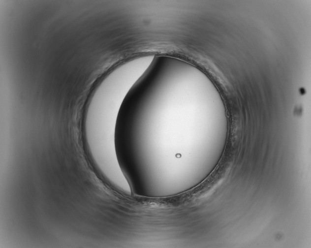 X0000102350585200808151752