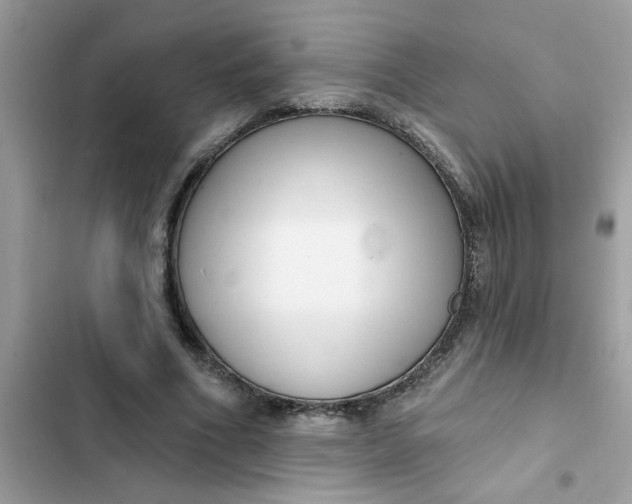 X0000102350586200808151752