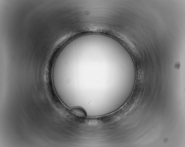 X0000102350587200808151752