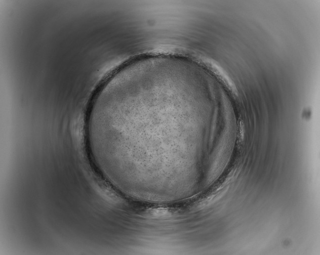 X0000102350588200808151752