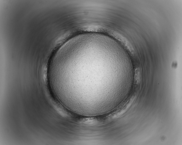 X0000102350589200808151752