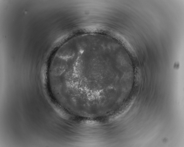 X0000102350590200808151752