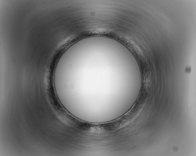 X0000102350591200808151752