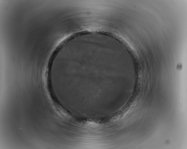 X0000102350592200808151752