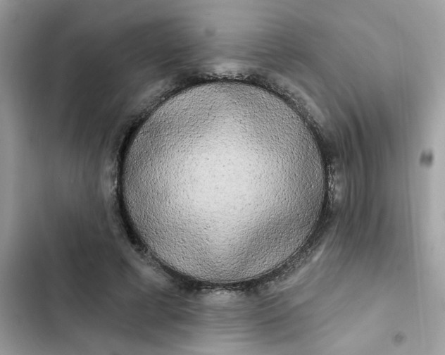 X0000102350593200808151752