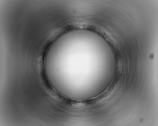 X0000102350594200808151752