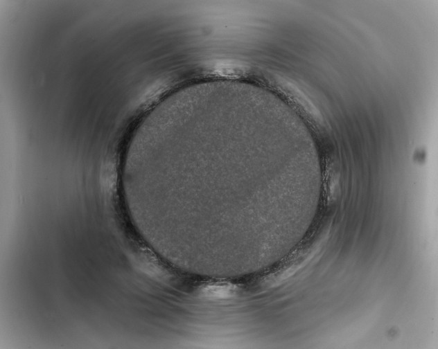 X0000102350595200808151752