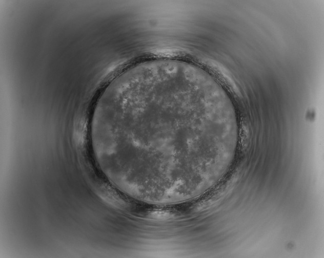 X0000102350596200808151752