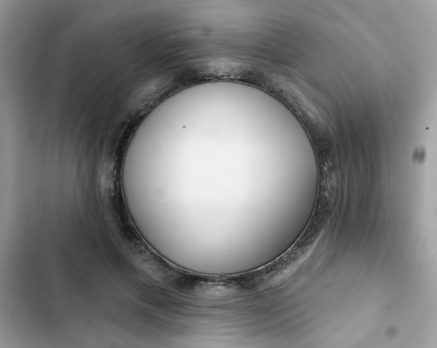 X0000102350597200808151752