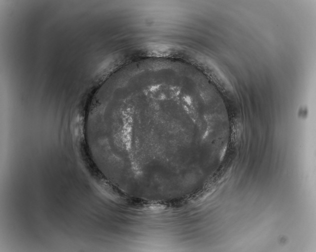 X0000102350598200808151752