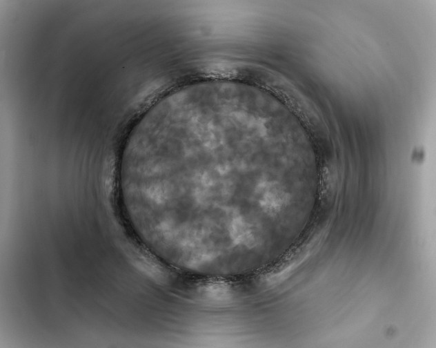 X0000102350600200808151752