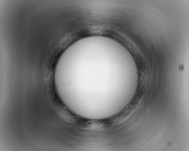 X0000102350601200808151752