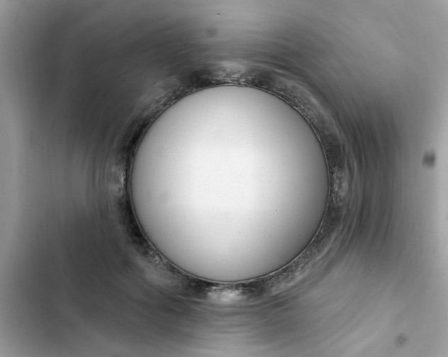 X0000102350602200808151752