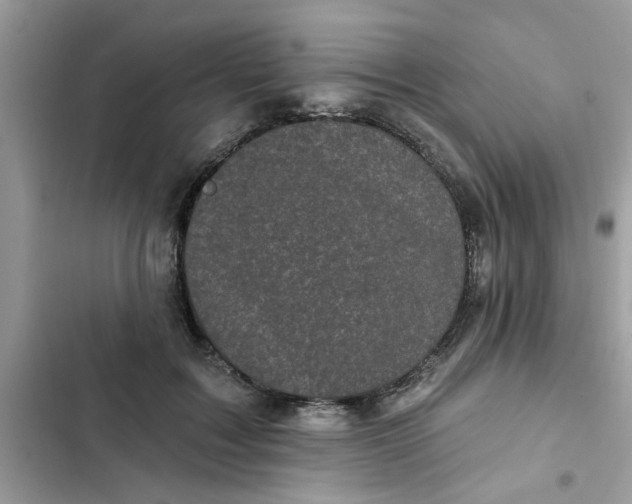 X0000102350603200808151752