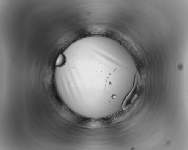 X0000102350604200808151752