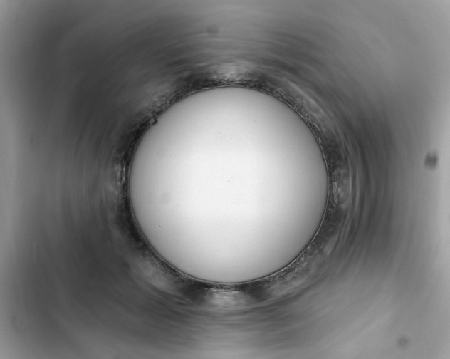 X0000102350605200808151752