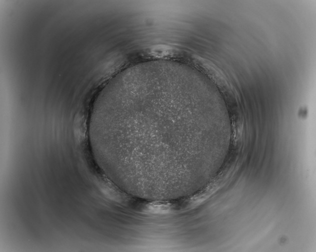 X0000102350606200808151752