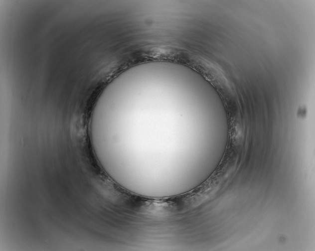 X0000102350607200808151752