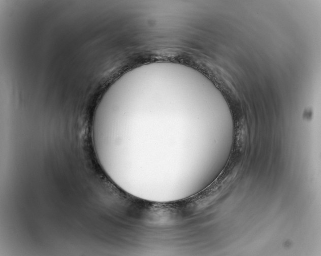 X0000102350608200808151752