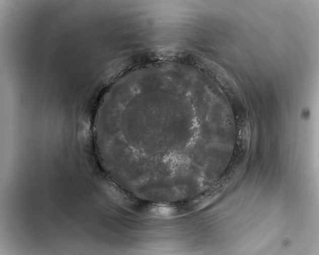 X0000102350610200808151752