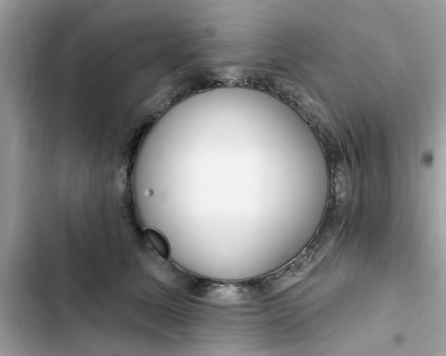 X0000102350611200808151752